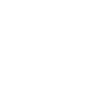 fire suppression & special systems